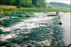 Stvořidla 05/1995, začátek peřejí 1