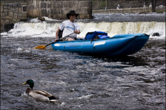 vltava_2011_20