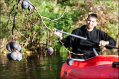 opatovicky_kanal_2013_16